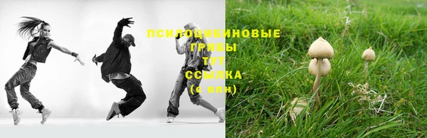 PSILOCYBIN Алзамай