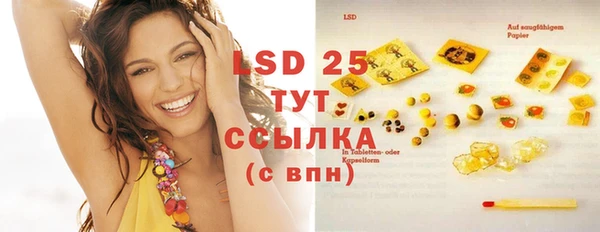 PSILOCYBIN Алзамай