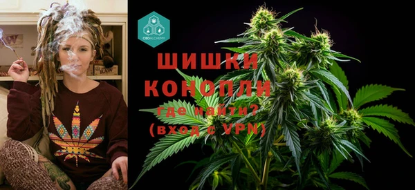 PSILOCYBIN Алзамай