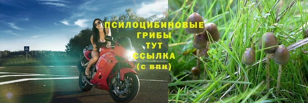стаф Алексеевка