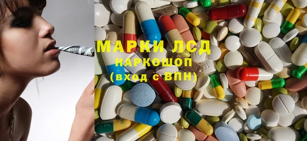 PSILOCYBIN Алзамай