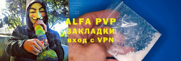 PSILOCYBIN Алзамай