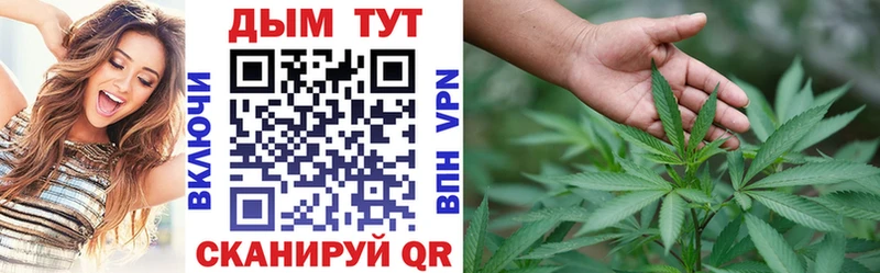 магазин    Ликино-Дулёво  Каннабис SATIVA & INDICA 